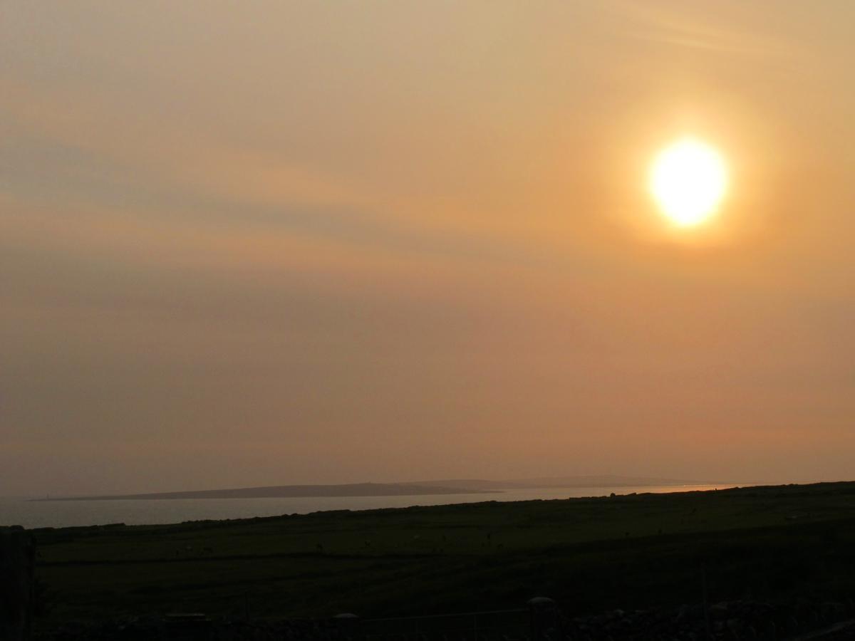 Aran View Country House And Lodge دولين المظهر الخارجي الصورة